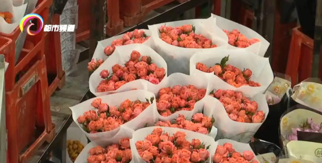 昆明花拍中心单日交易量突破600万枝！哪些花色最受欢迎？  第4张
