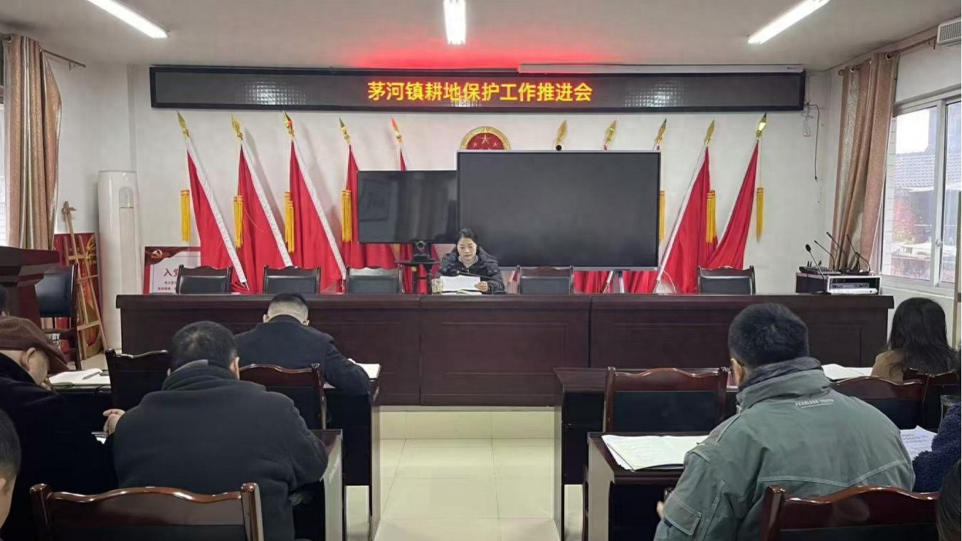 茅河镇为何如此坚决守住耕地红线？2025年耕地保护大动作曝光