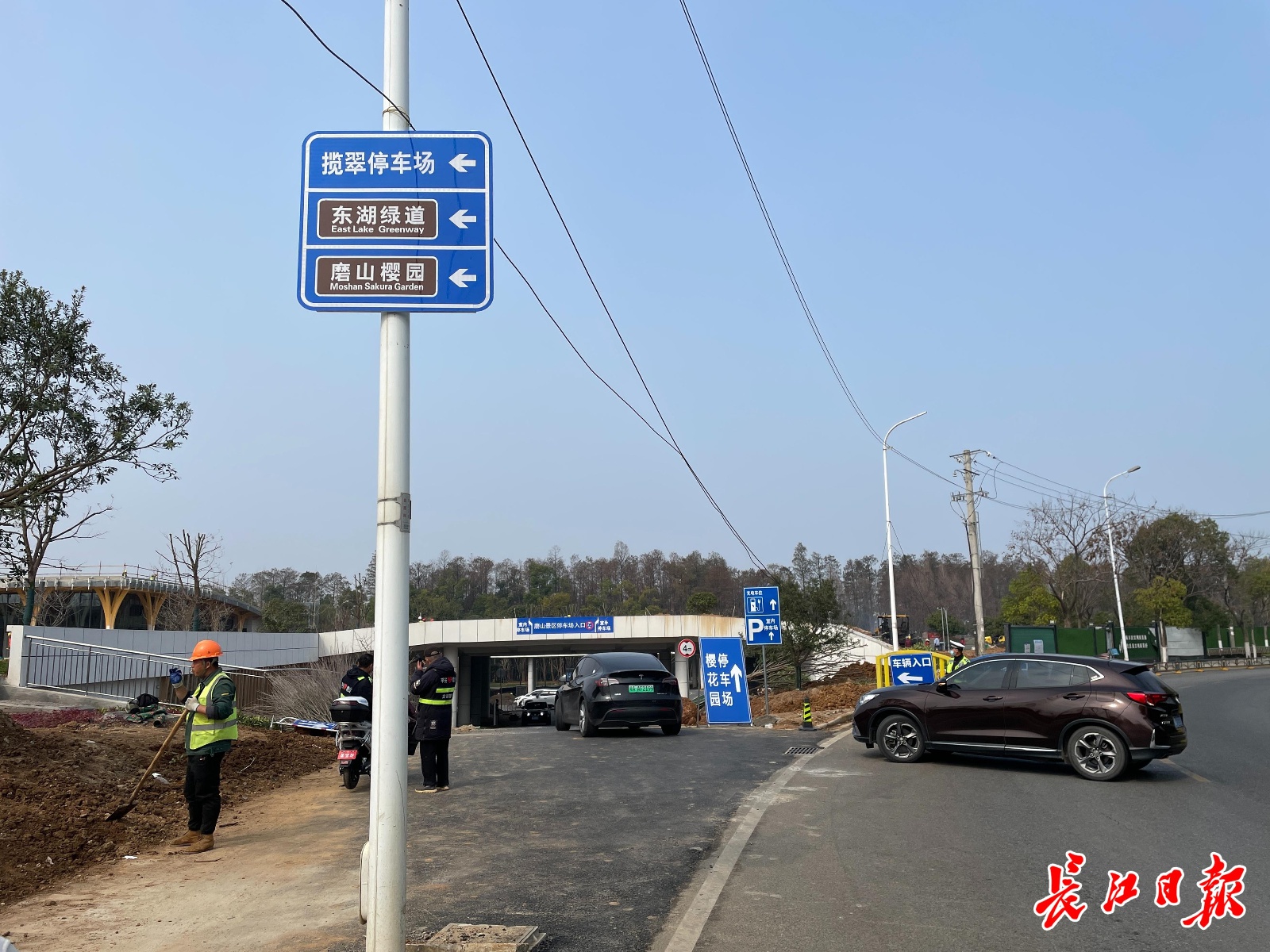 东湖樱园新停车场开放！7249个停车位等你来，今年赏樱不再堵  第1张