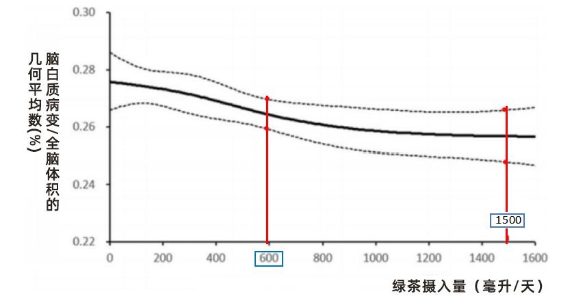 每天喝多少绿茶才能让大脑更健康？最新研究揭示惊人效果  第4张