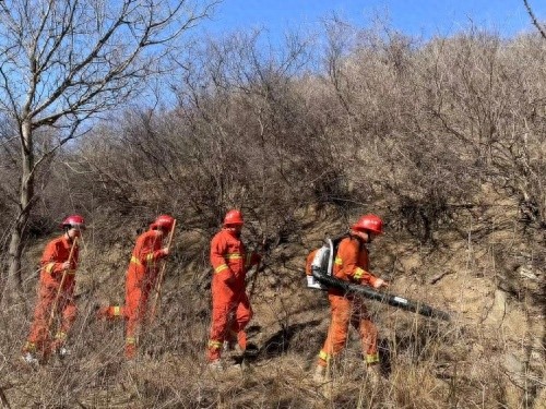 绛县林业局如何确保两会期间森林防火万无一失？三项措施大揭秘