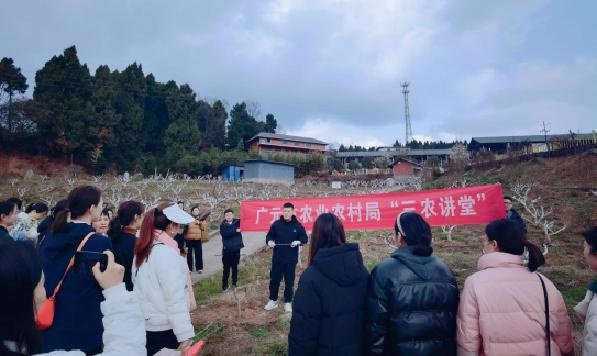 书香与花香交融，女职工如何在这场活动中实现心灵的蜕变？  第2张