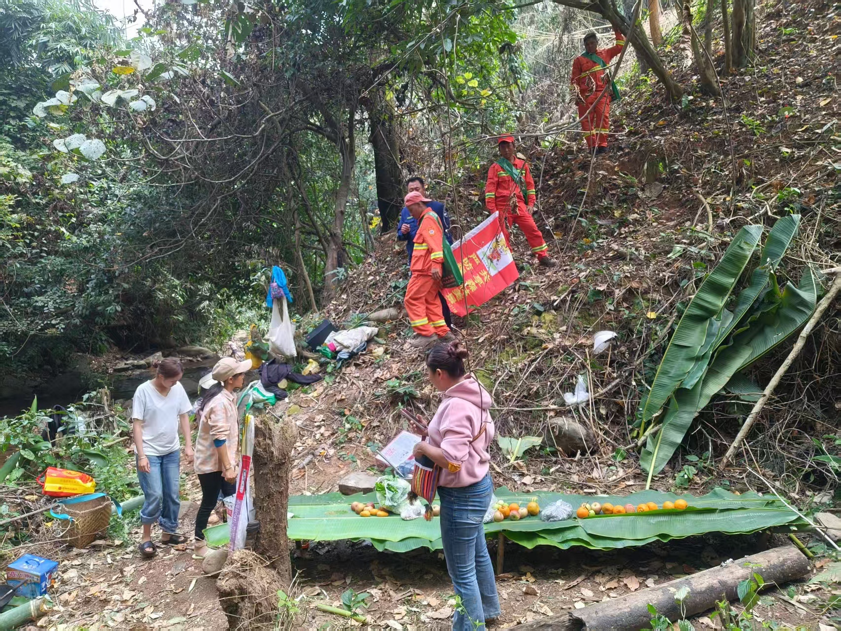 纳板河保护区33个村寨如何严防森林火灾？这个节日安全防线不容忽视  第3张