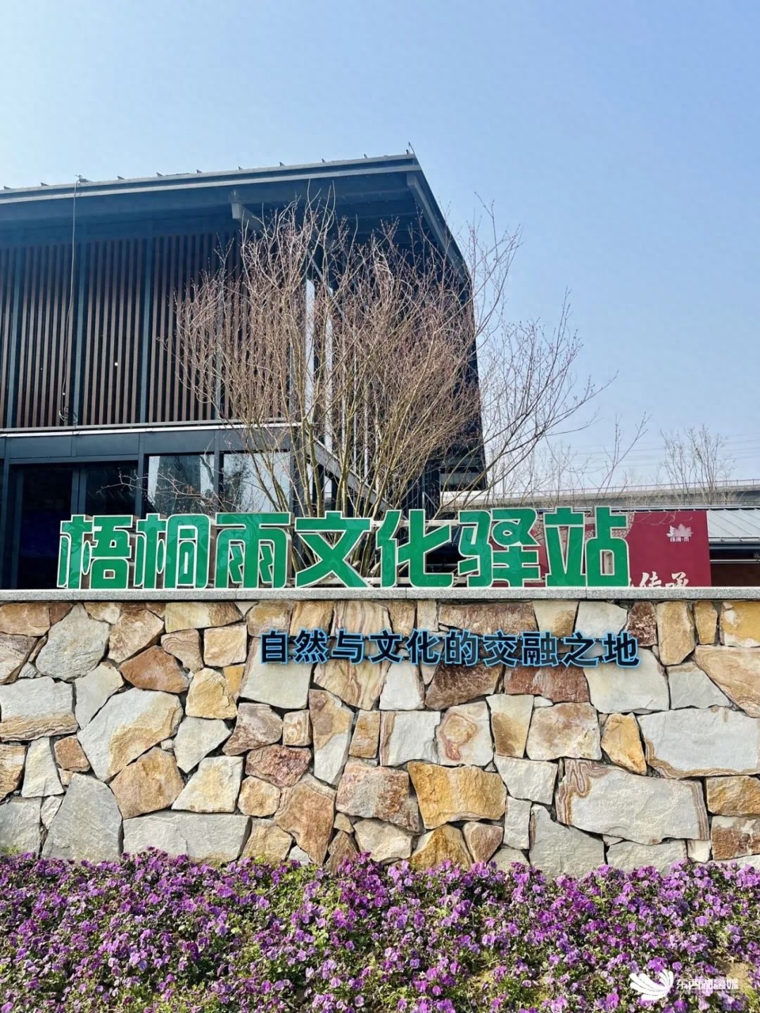 武汉梧桐雨文化驿站落成，春日文化会客厅等你来探索  第1张