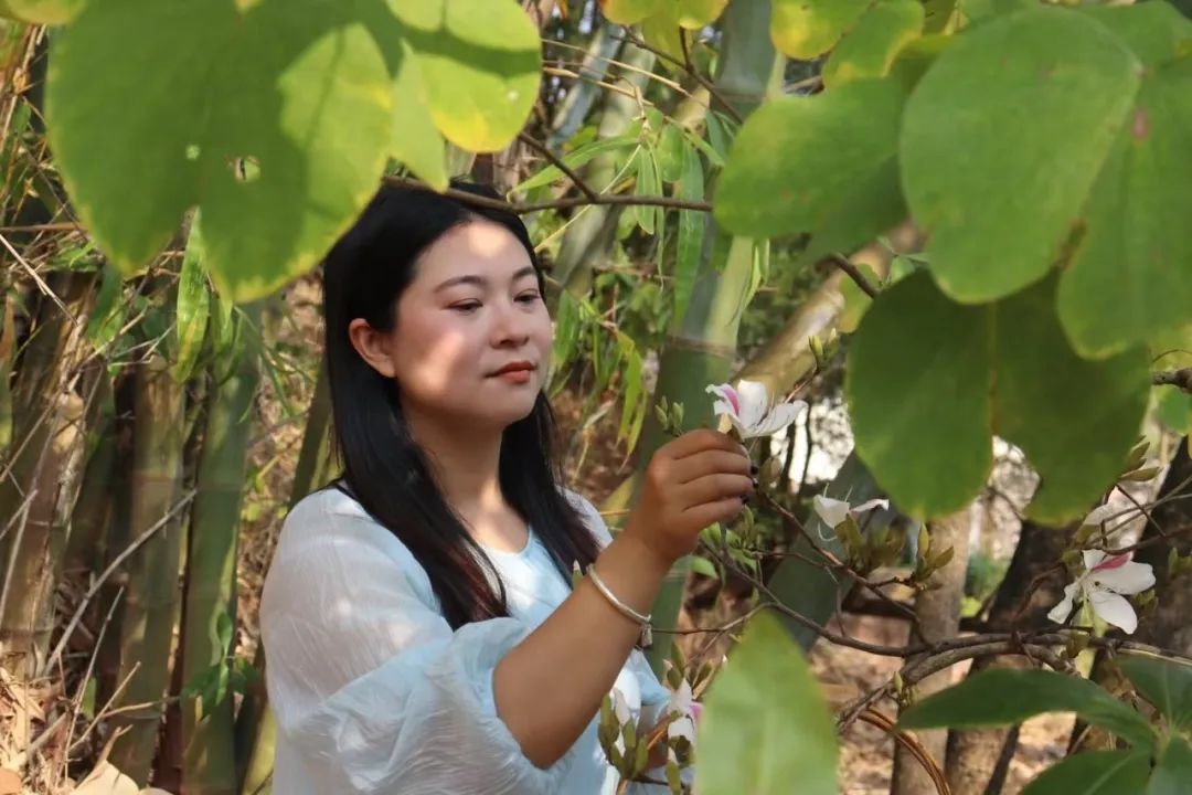 你准备好体验‘有一种叫云南的生活’了吗？探索宁洱的山水之美与民俗风情  第3张