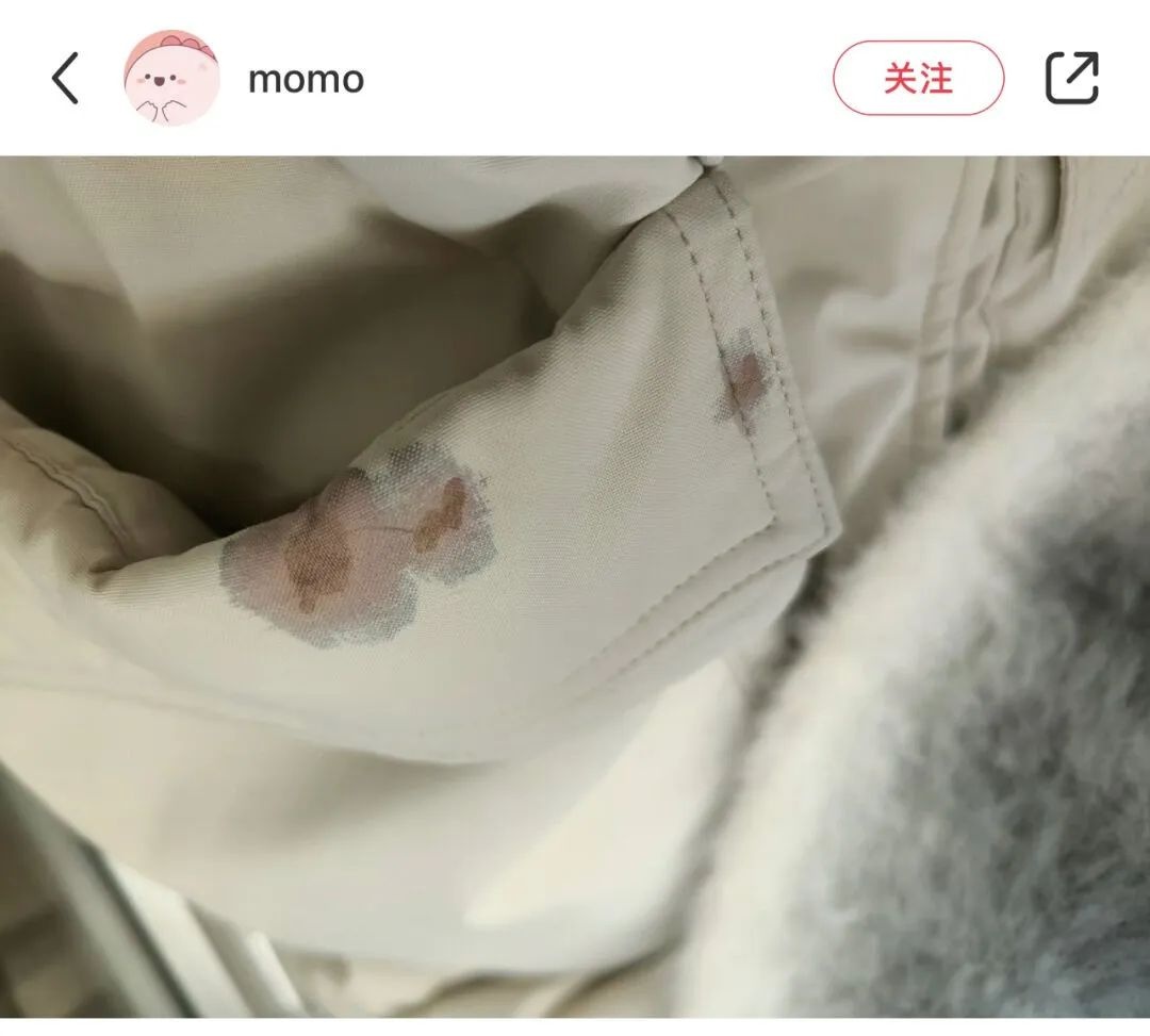 你知道吗？这些马路上的黑色‘炸弹’竟然是无害的香樟树果实  第4张