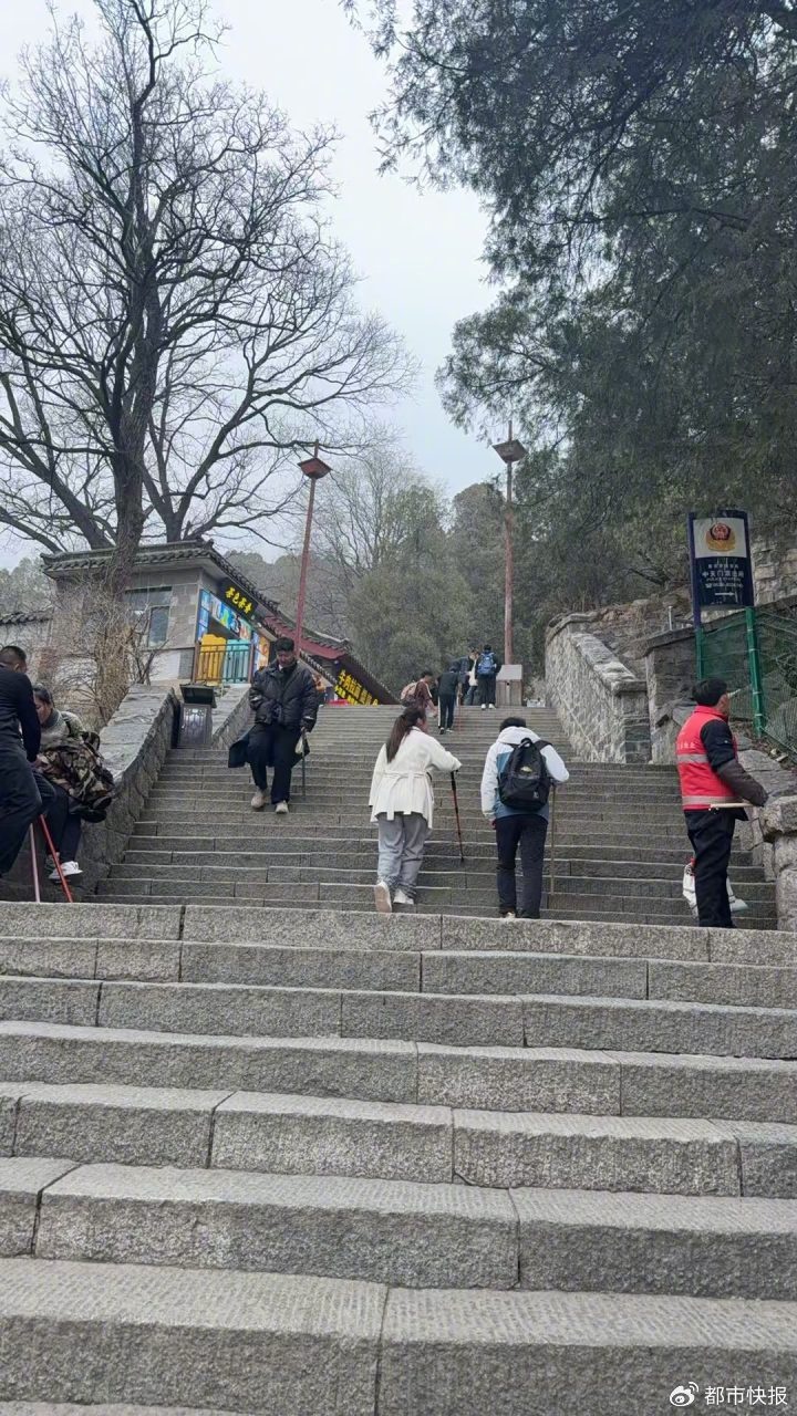 年赚30万！泰山陪爬真的这么赚钱？揭秘小伙的独特职业之路  第2张
