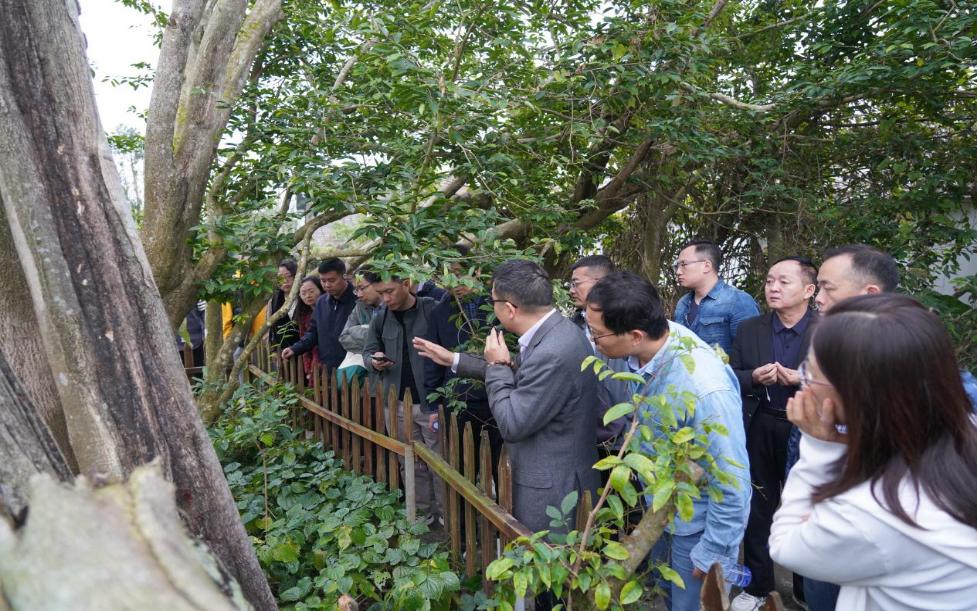 中国森林认证20年辉煌成就！你了解CFCC如何推动生态产品价值实现吗？  第2张