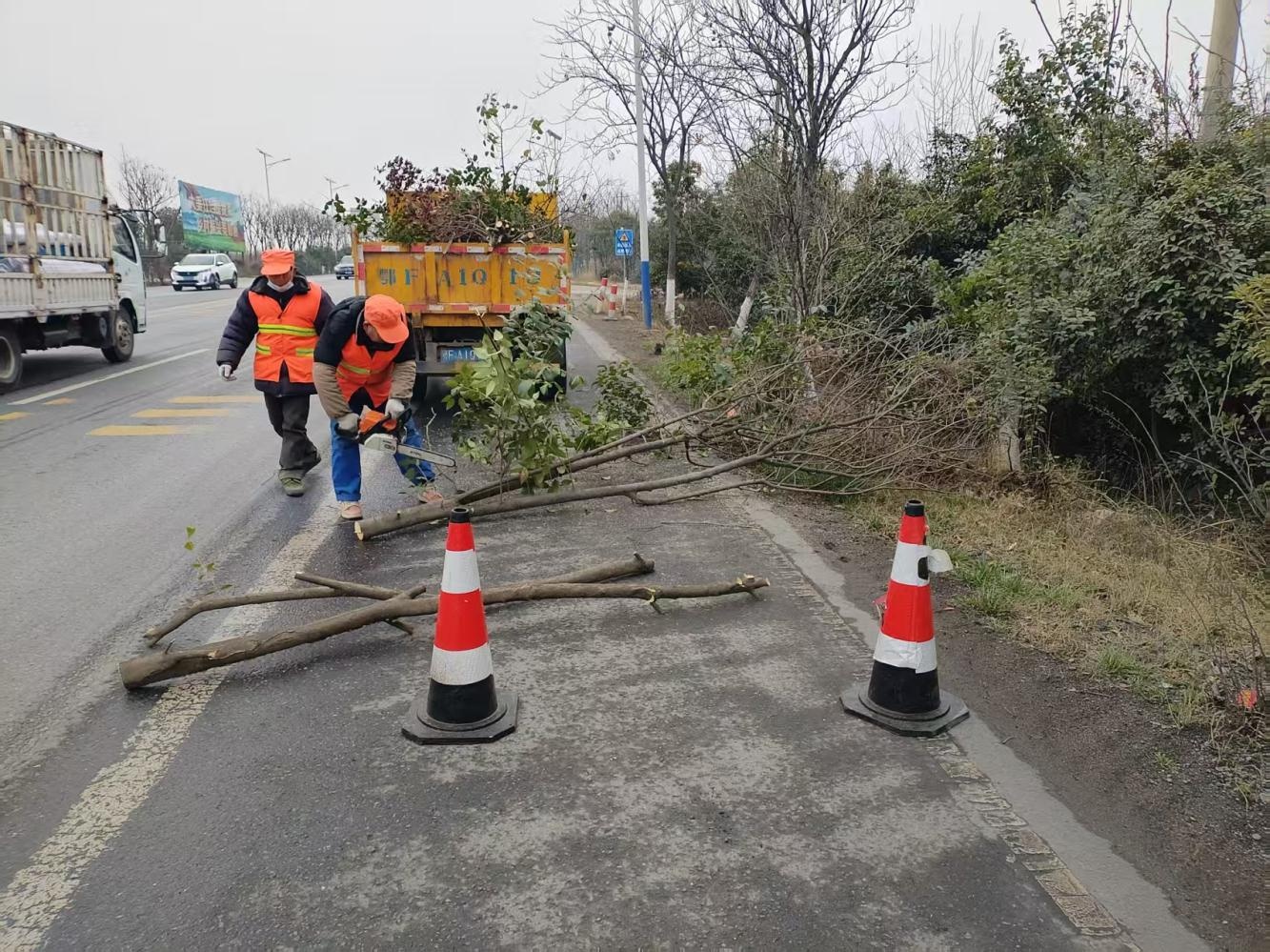 S303省道卧龙镇路面病害严重，春季养护能否扭转局面？  第3张
