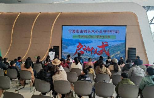 宁波市古树名木保护行动启动，你参与了吗？  第1张