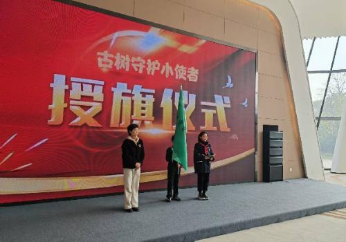 宁波市古树名木保护行动启动，你参与了吗？  第2张