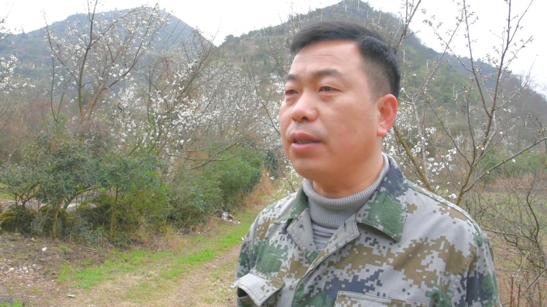安顺经开区如何筑起森林防火的坚固防线？揭秘背后的高效策略  第3张