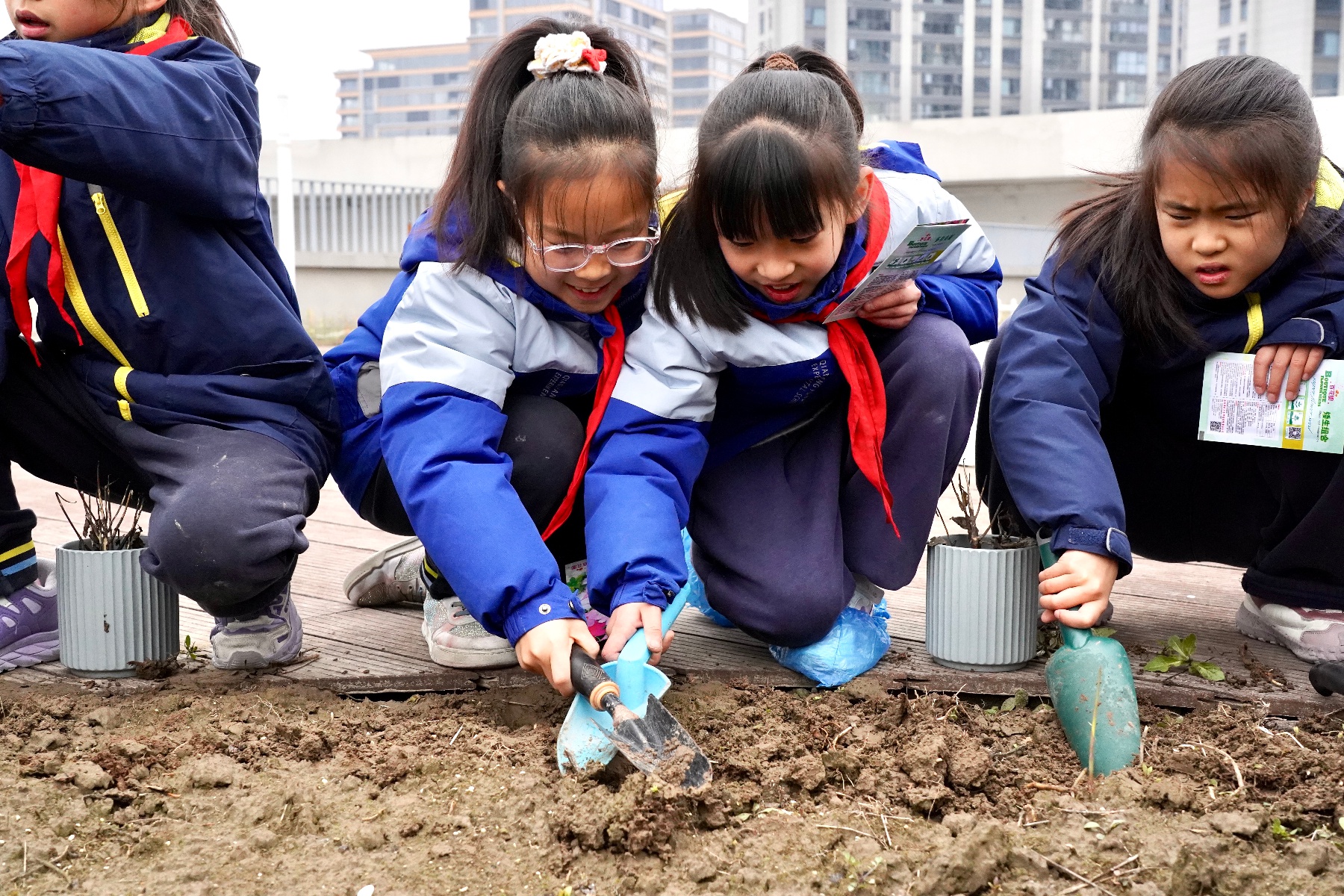 AI技术如何让未绽的花海提前绽放？杭州市钱江外国语实验学校的同学们带你体验自然与科技交织的梦幻之旅  第4张