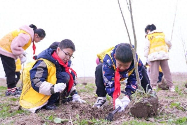 宁波慈溪学子如何通过植树活动开启别样思政课？