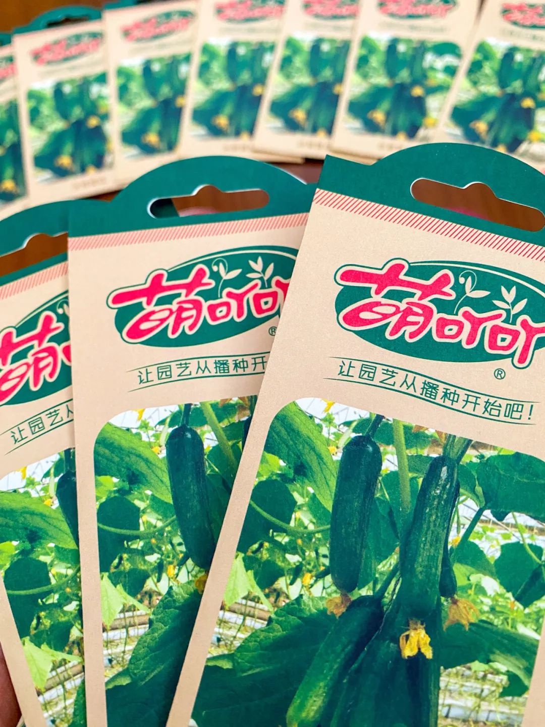 植树节惊喜！500份萌吖吖绿色种子包等你来领，你准备好了吗？  第4张
