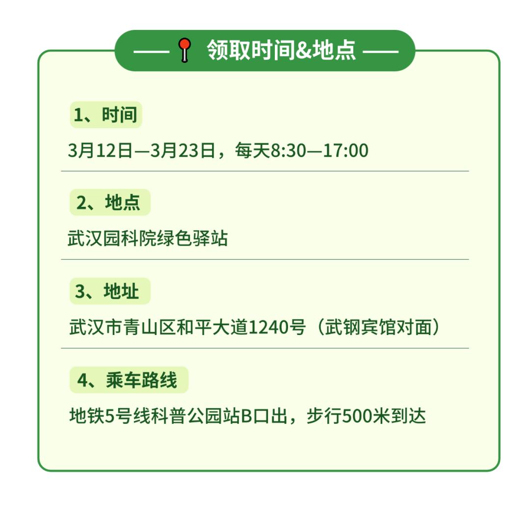 植树节惊喜！500份萌吖吖绿色种子包等你来领，你准备好了吗？  第6张