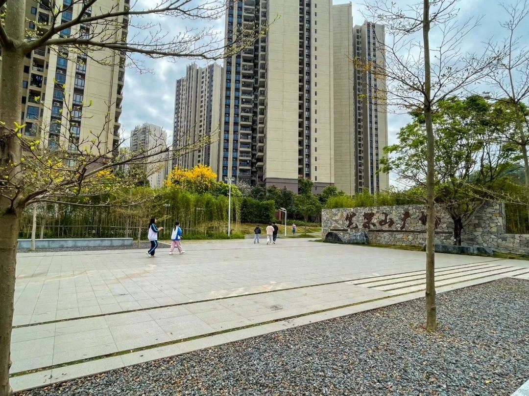 玉都新区公园环境为何如此整洁？市民纷纷表示认可