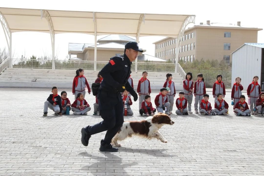 警犬训练基地惊现30名小学生！这些无言战士究竟有多酷？  第2张