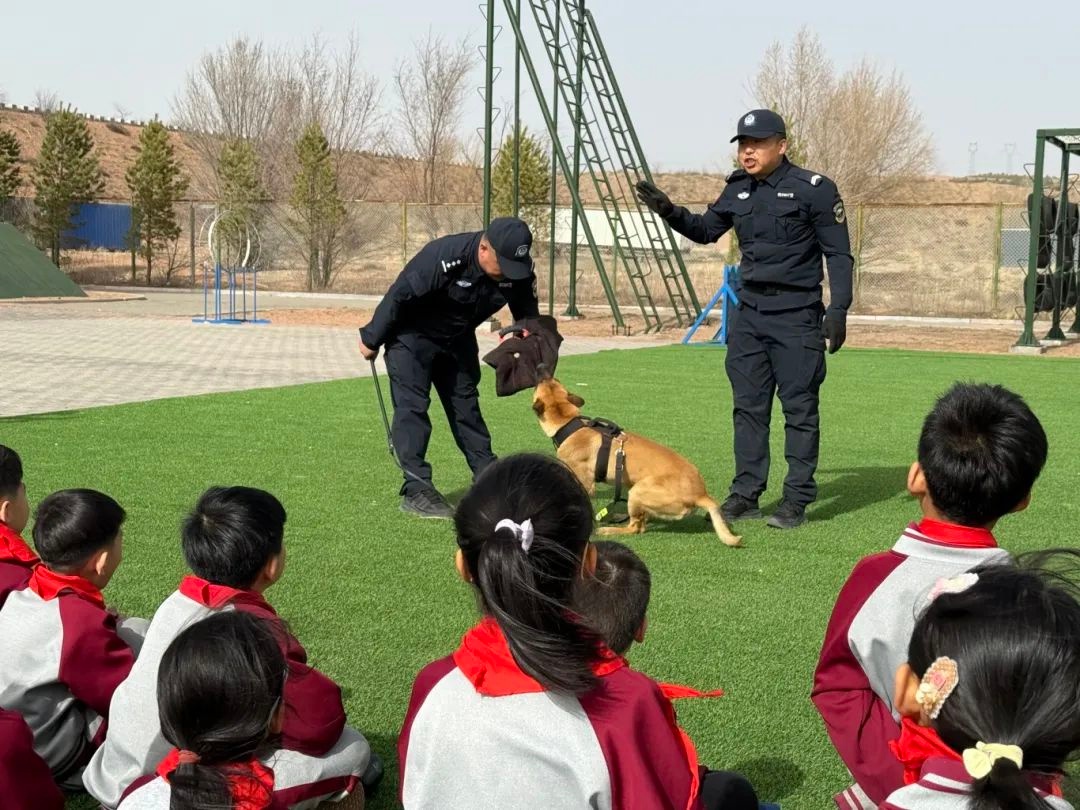 警犬训练基地惊现30名小学生！这些无言战士究竟有多酷？  第3张