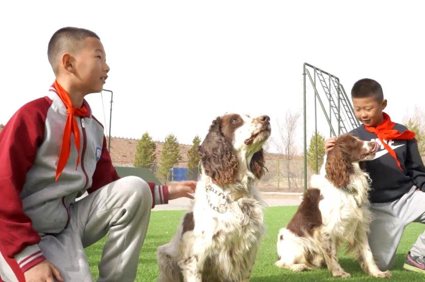 警犬训练基地惊现30名小学生！这些无言战士究竟有多酷？  第5张