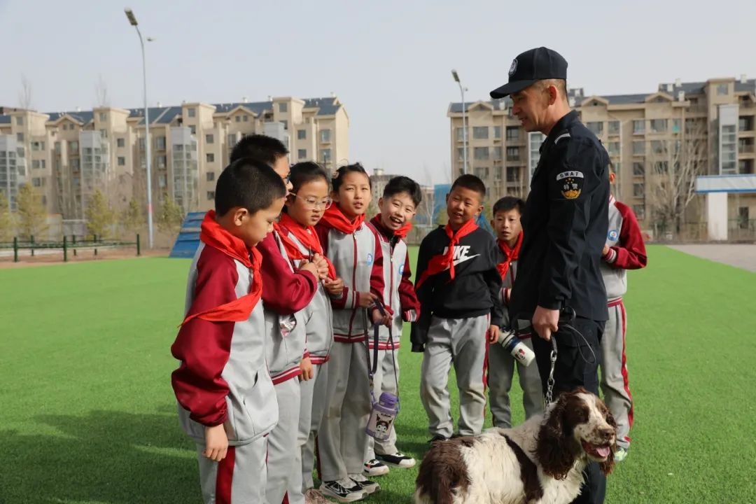警犬训练基地惊现30名小学生！这些无言战士究竟有多酷？  第6张