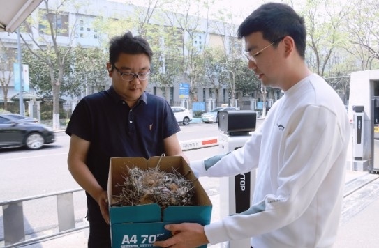 电网巡线员拆除鸟巢遇雏鸟!如何护航它们迁徙?  第3张
