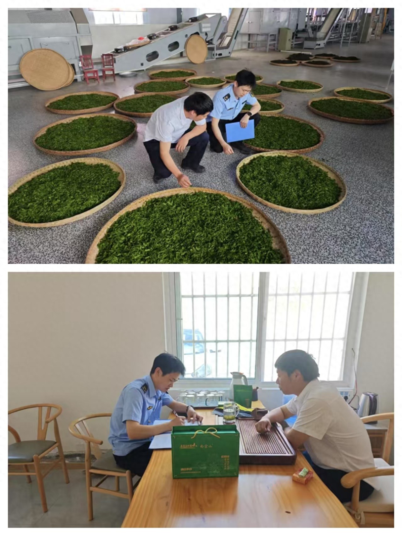 春茶上市！堰门市场监管所如何守护‘清新味’？