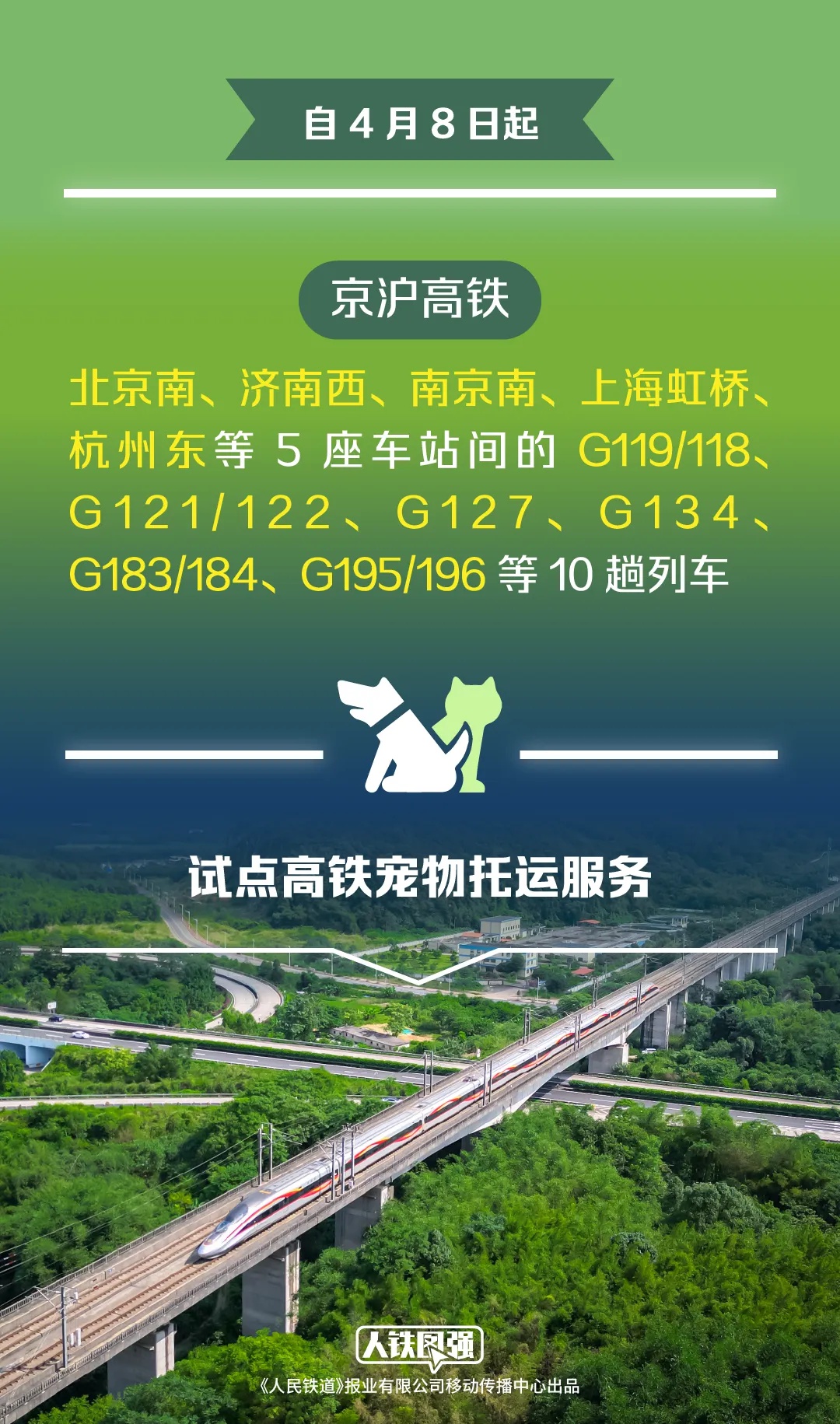 首趟可托运宠物高铁发车！手续、费用、接取呢？  第2张