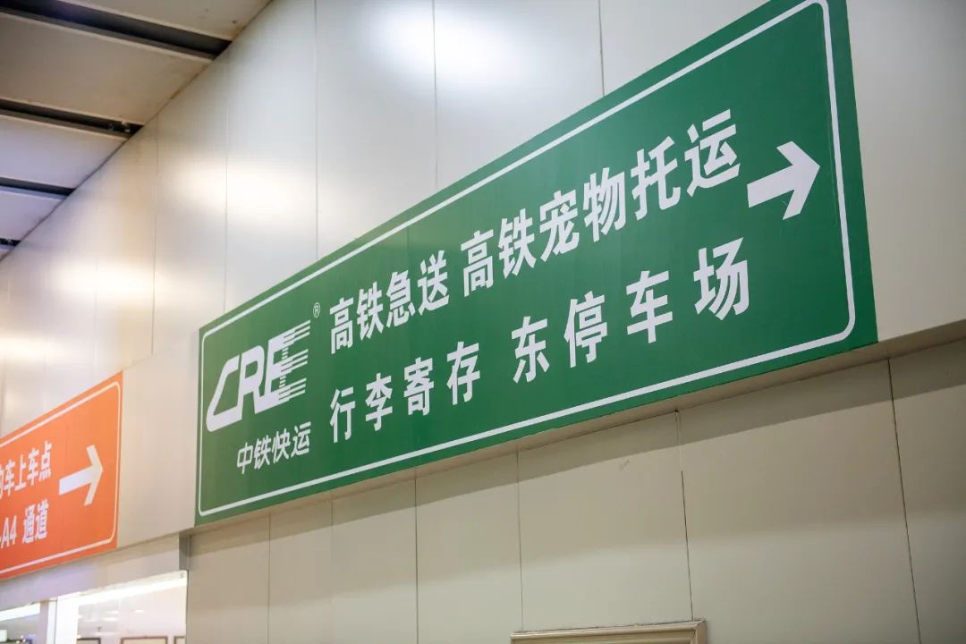 首趟可托运宠物高铁发车！手续、费用、接取呢？  第3张
