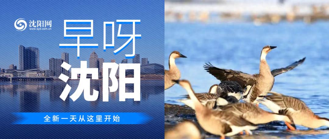 强冷空气来袭!沈阳周末天气大戏即将上演?!