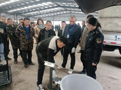 春茶上市，茶贩缺斤少两？名山区重拳出击，守护茶农权益
