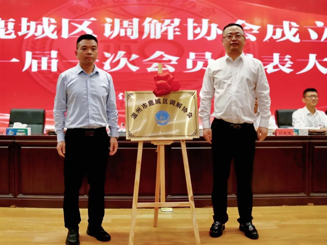 综治中心如何实现‘一站式解纷’？揭秘温州1+8+36+N模式背后的高效治理  第5张