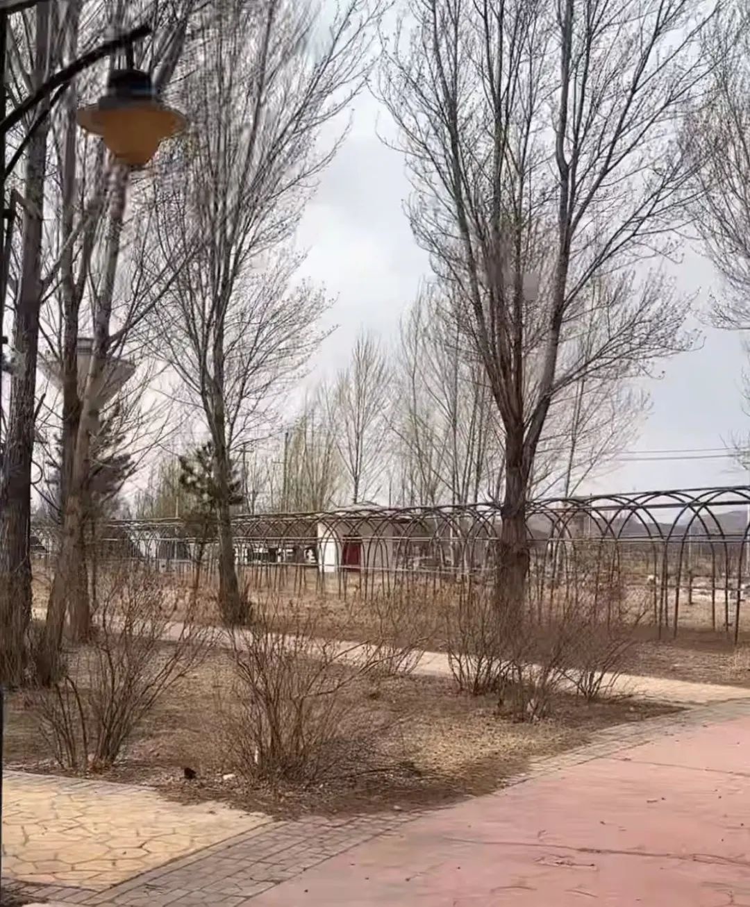 张家口沙尘暴真相曝光！网传视频竟是假的？气象台紧急辟谣  第2张