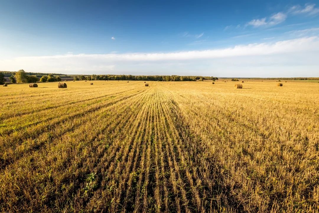 黑土资源遭盗挖,检察机关如何强势亮剑守护生态? 第2张 黑土资源遭盗挖,检察机关如何强势亮剑守护生态? 第2张