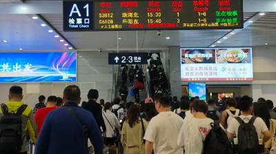 清明假期铁路客流爆棚!广汕汕高铁日均发送7.24万人次,你抢到票了吗? 第2张 清明假期铁路客流爆棚!广汕汕高铁日均发送7.24万人次,你抢到票了吗? 第2张