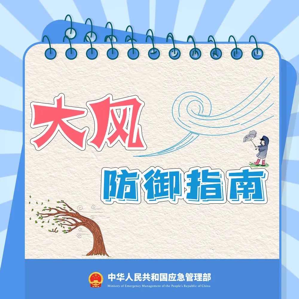 江苏大风黄色预警！11日后半夜至13日8-10级阵风来袭，你准备好了吗？  第3张