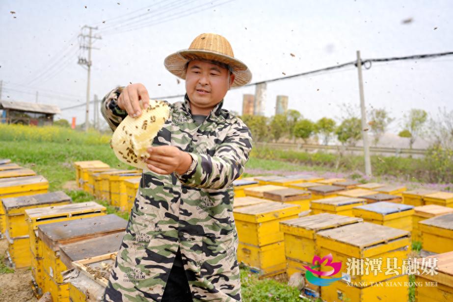 蜜蜂哥哥张美龙如何从12岁开始，带领乡亲们走上甜蜜致富路？
