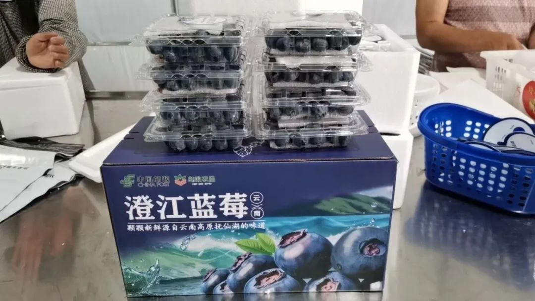 七彩云南农品寄递有保障!云南邮政助力云品出滇,你知道吗?  第5张