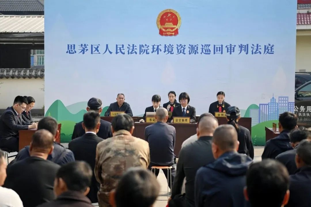 思茅区严惩非法采挖野生植物者！你知道吗？  第2张