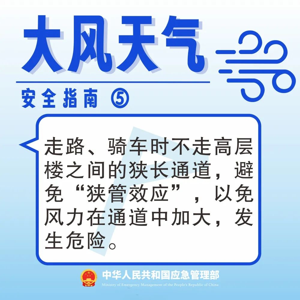 洛阳大风黄色预警！10级以上阵风？如何防范？  第5张