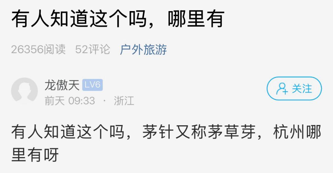 还记得小时候的快乐源泉吗？茅针，这个田间地头的零食你还找得到吗