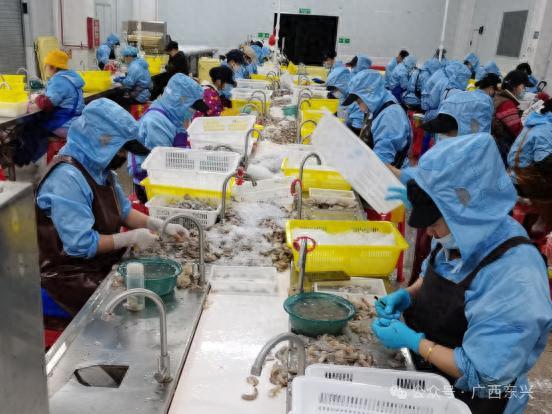 东兴市一季度GDP增长9.3%！为何能在北仑河潮涌中实现开门红？