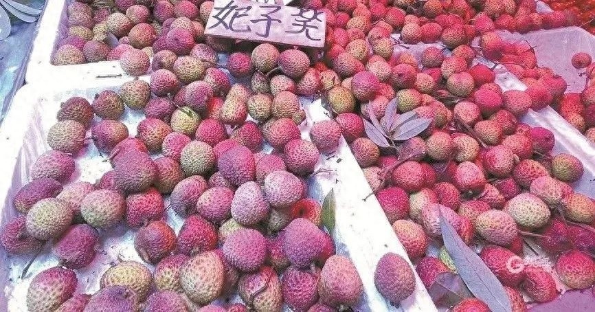 夏天快来，荔枝季开启！为何价格一降再降？还能尝鲜多久？