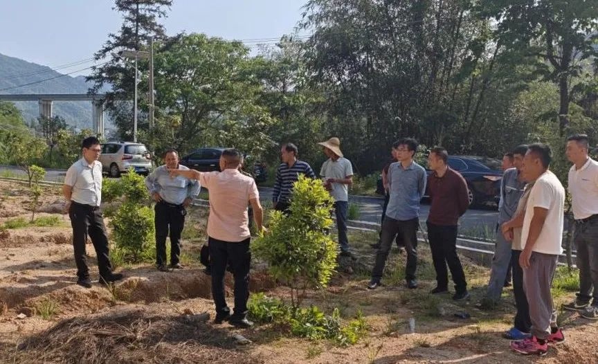 厚植生态底色！城口镇缘何让邻长从旁观者变主力军？  第2张