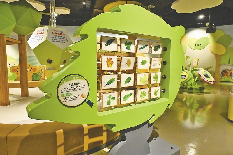 孩子们为何惊叹不已？益阳市这些亲子活动空间太惊艳  第5张