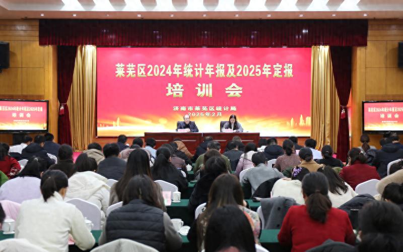 2025年莱芜区统计局如何通过培训会议推动经济高质量发展？