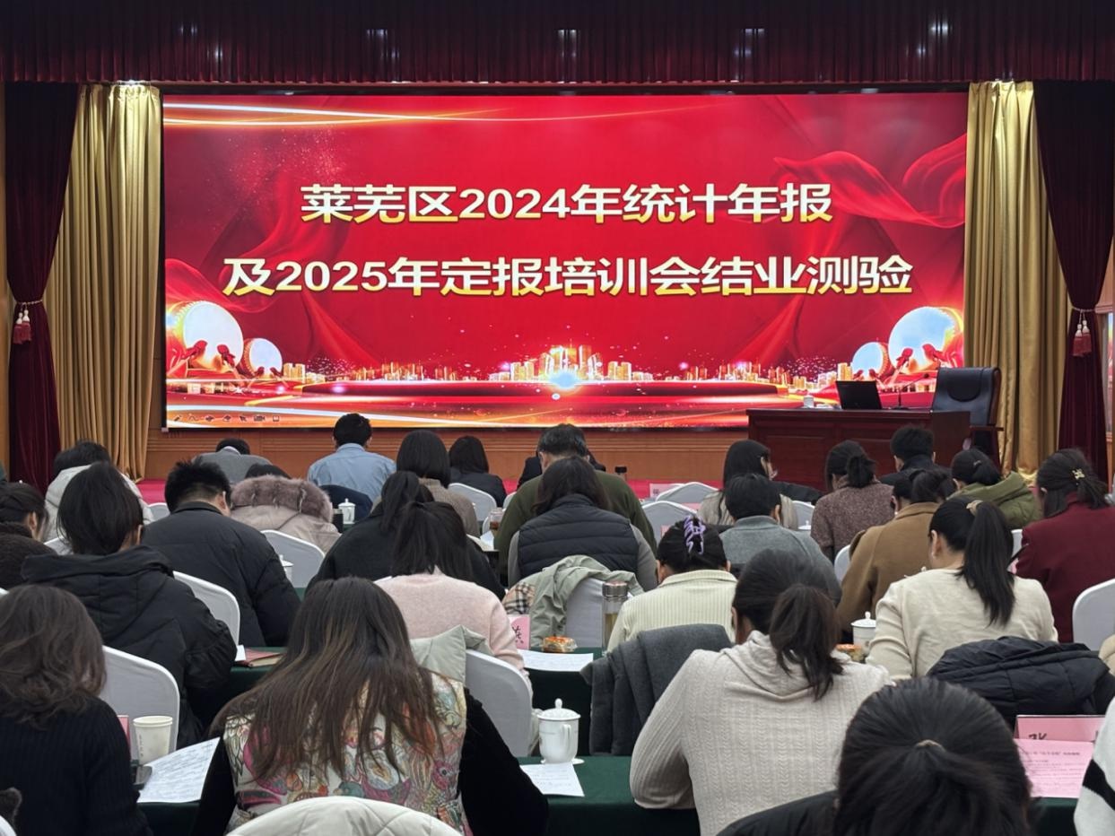 2025年莱芜区统计局如何通过培训会议推动经济高质量发展？  第3张