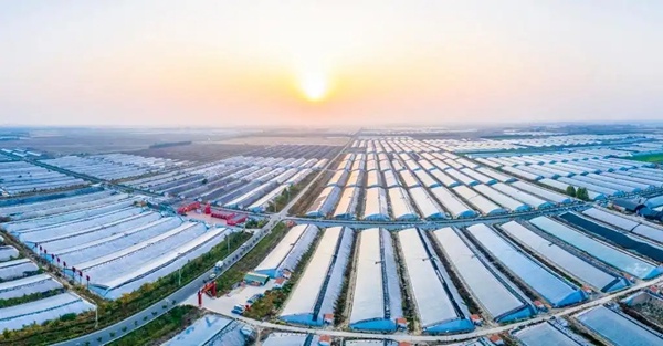 平度市即将突破千亿GDP大关，青岛新星崛起！你准备好见证历史了吗？  第3张