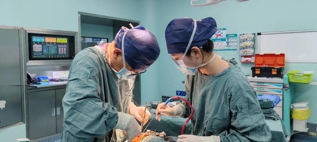 惊险！20月幼儿筷子插穿上腭，医生如何化险为夷？