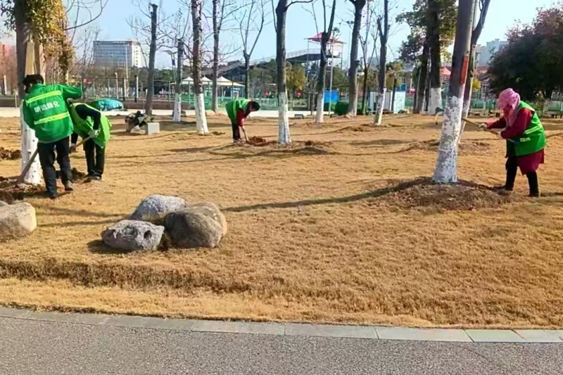 枝江市住建局如何确保节后绿化养护复工？这些措施让你大开眼界  第2张
